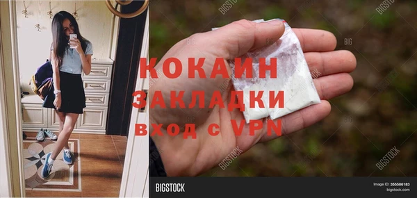 ПСИЛОЦИБИНОВЫЕ ГРИБЫ Алексеевка