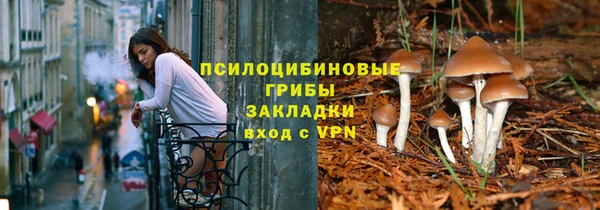 apvp Алексин