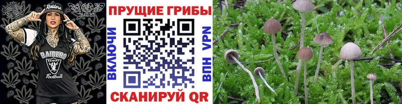 Галлюциногенные грибы ЛСД что такое наркотик Красный Кут